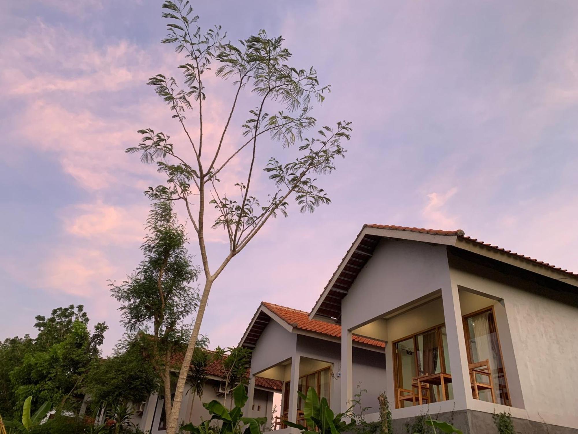 Plambi Tommy Homestay מראה חיצוני תמונה